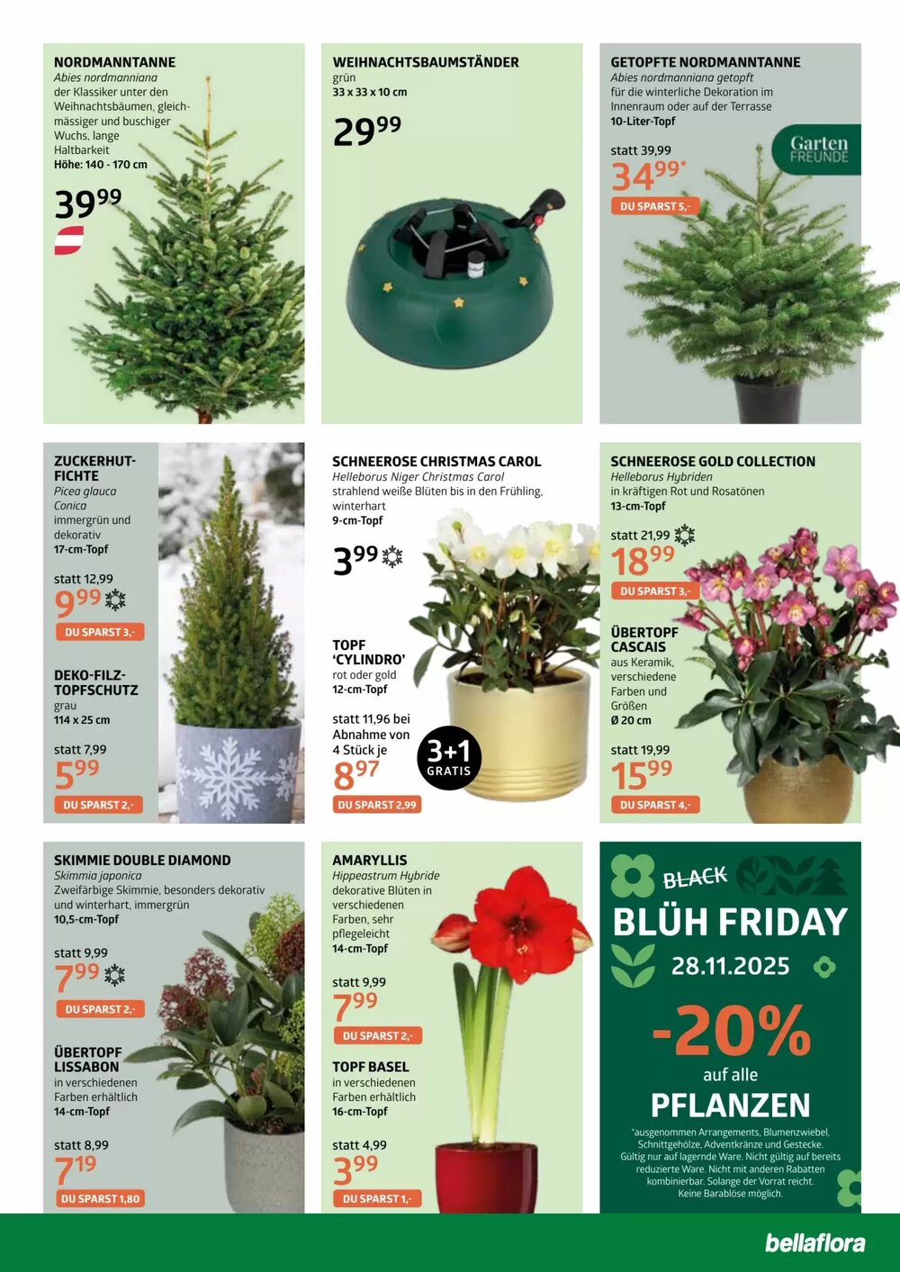 Bellaflora Flugblatt (ab 20.11.2025) - Angebote und Prospekt - Seite 7