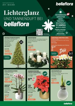Bellaflora Flugblatt (ab 20.11.2025) - Angebote und Prospekt
