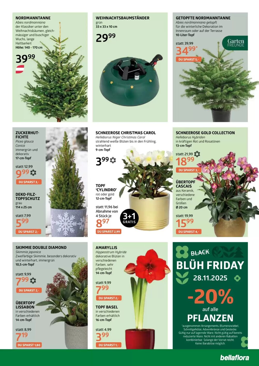 Bellaflora Flugblatt (ab 20.11.2025) - Angebote und Prospekt - Seite 7