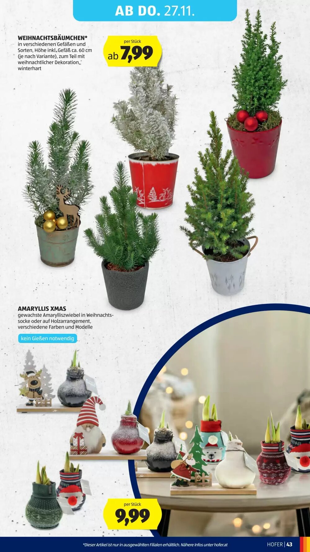Hofer Flugblatt (ab 21.11.2025) - Angebote und Prospekt - Seite 57