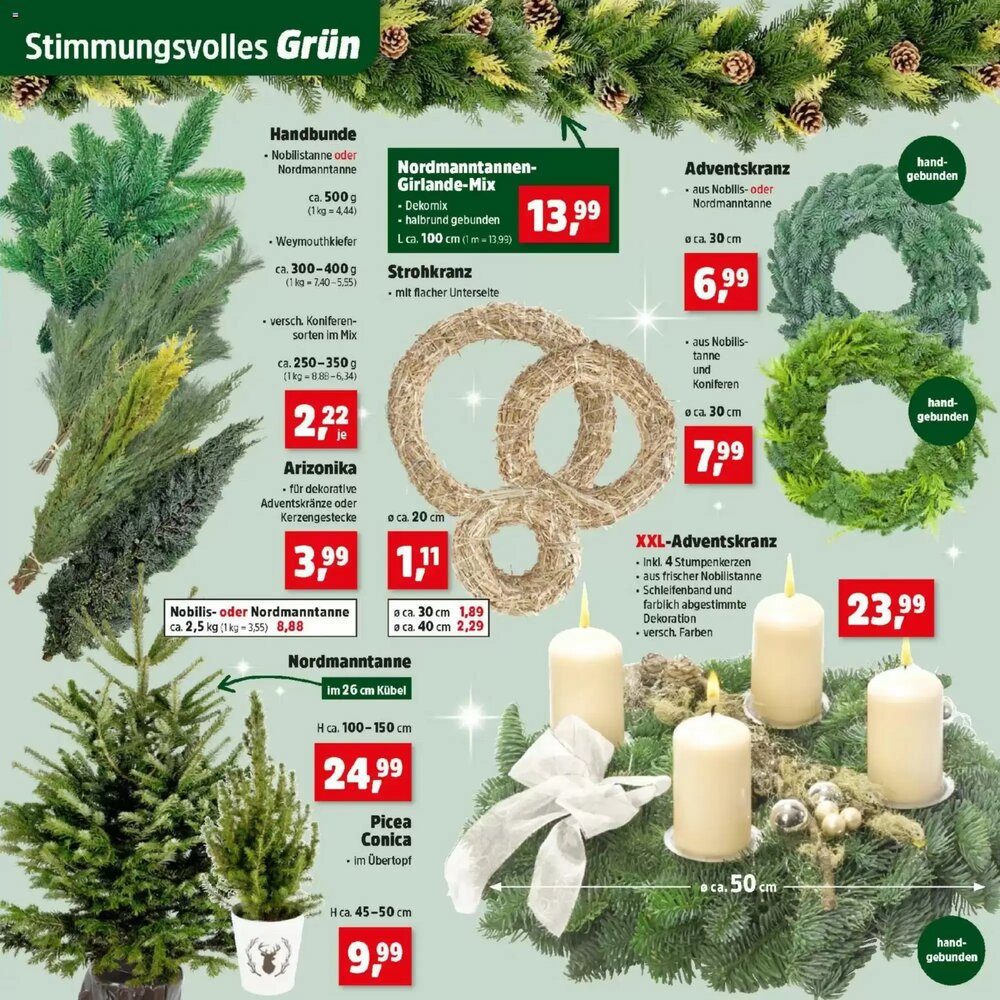 Thomas Philipps Flugblatt (ab 24.11.2025) - Angebote und Prospekt - Seite 4