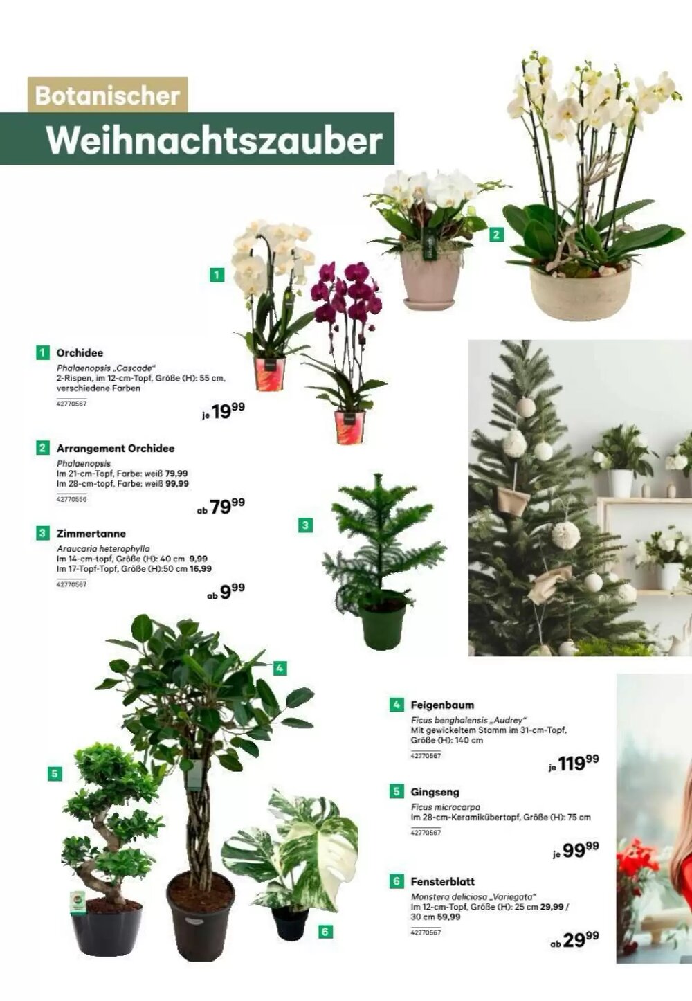 BayWa Flugblatt (ab 25.11.2025) - Angebote und Prospekt - Seite 10