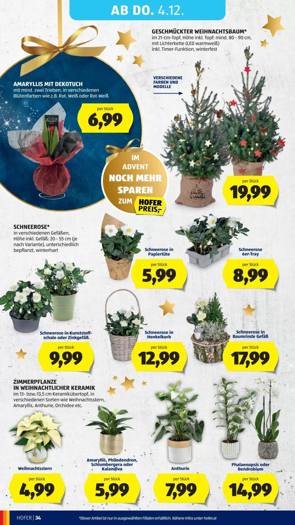 Hofer Flugblatt (ab 28.11.2025) - Angebote und Prospekt - Seite 50