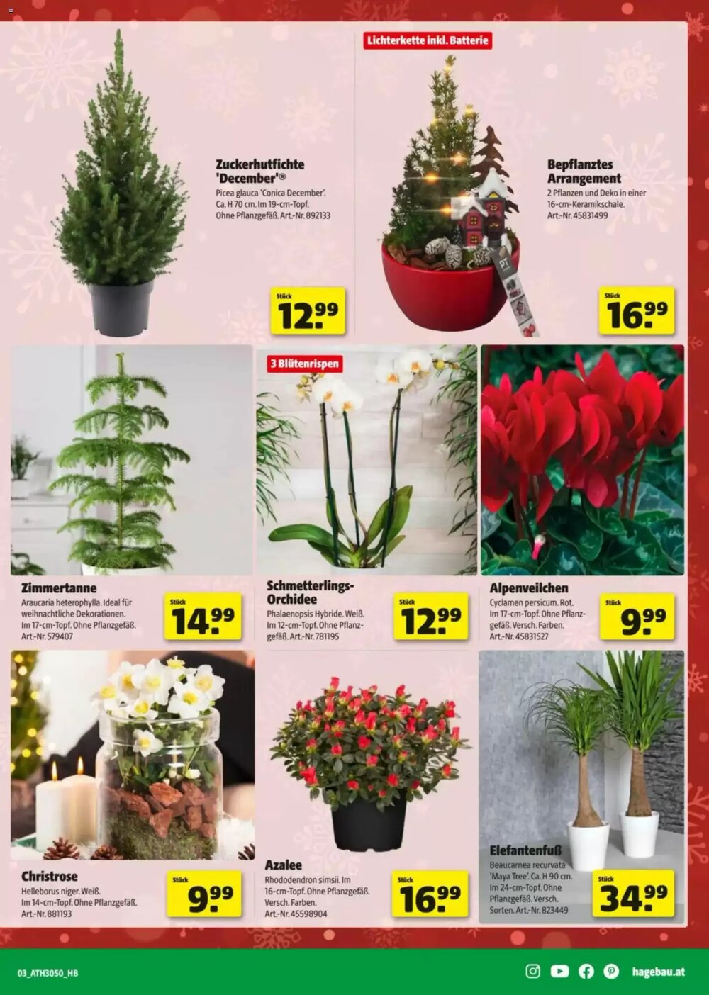 Hagebau Flugblatt (ab 02.12.2025) - Angebote und Prospekt - Seite 3