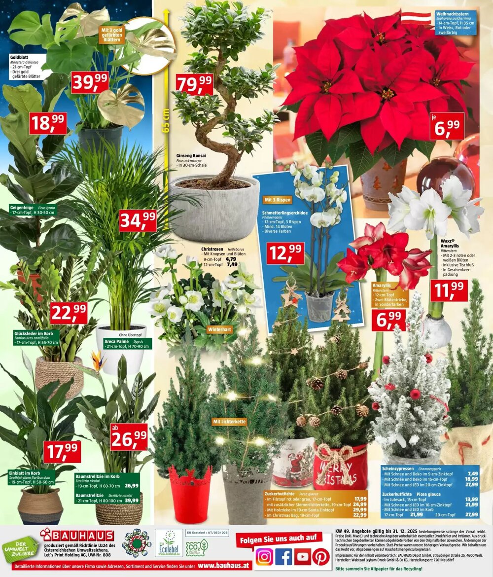 Bauhaus Flugblatt (ab 03.12.2025) - Angebote und Prospekt - Seite 24