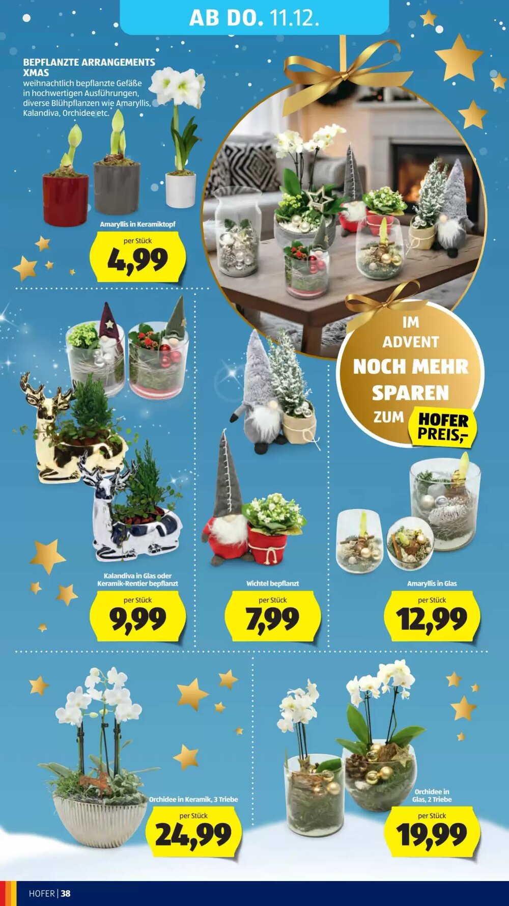 Hofer Flugblatt (ab 05.12.2025) - Angebote und Prospekt - Seite 52