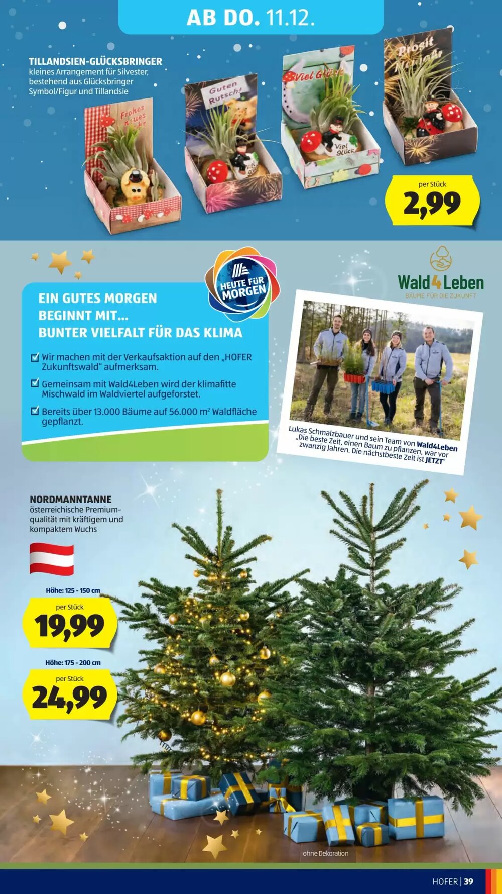 Hofer Flugblatt (ab 05.12.2025) - Angebote und Prospekt - Seite 53