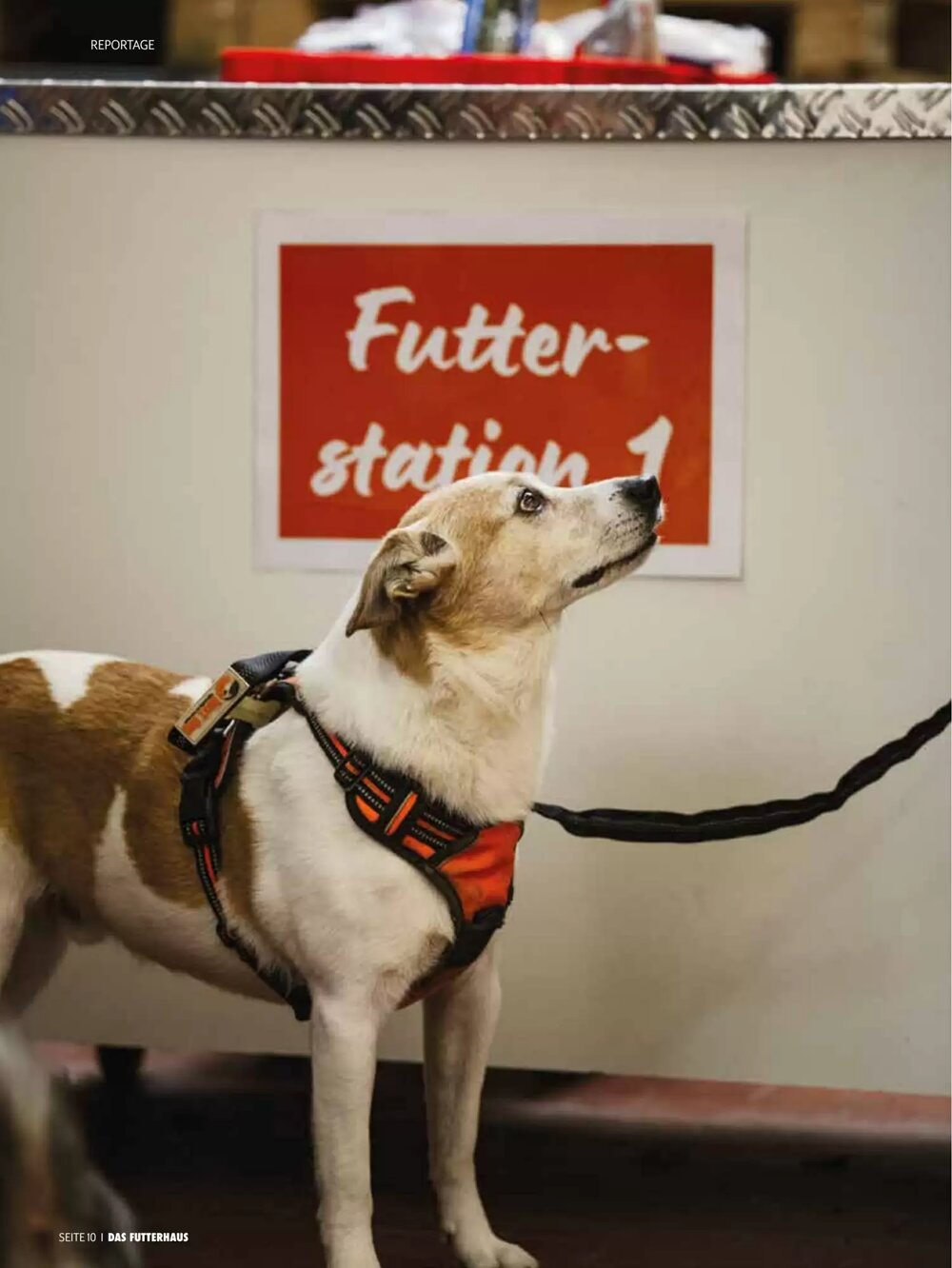 Das Futterhaus Flugblatt (ab 17.12.2025) - Angebote und Prospekt - Seite 10