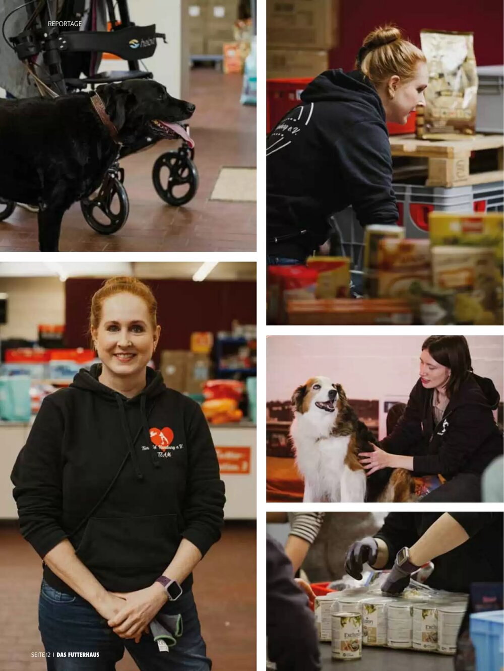 Das Futterhaus Flugblatt (ab 17.12.2025) - Angebote und Prospekt - Seite 12