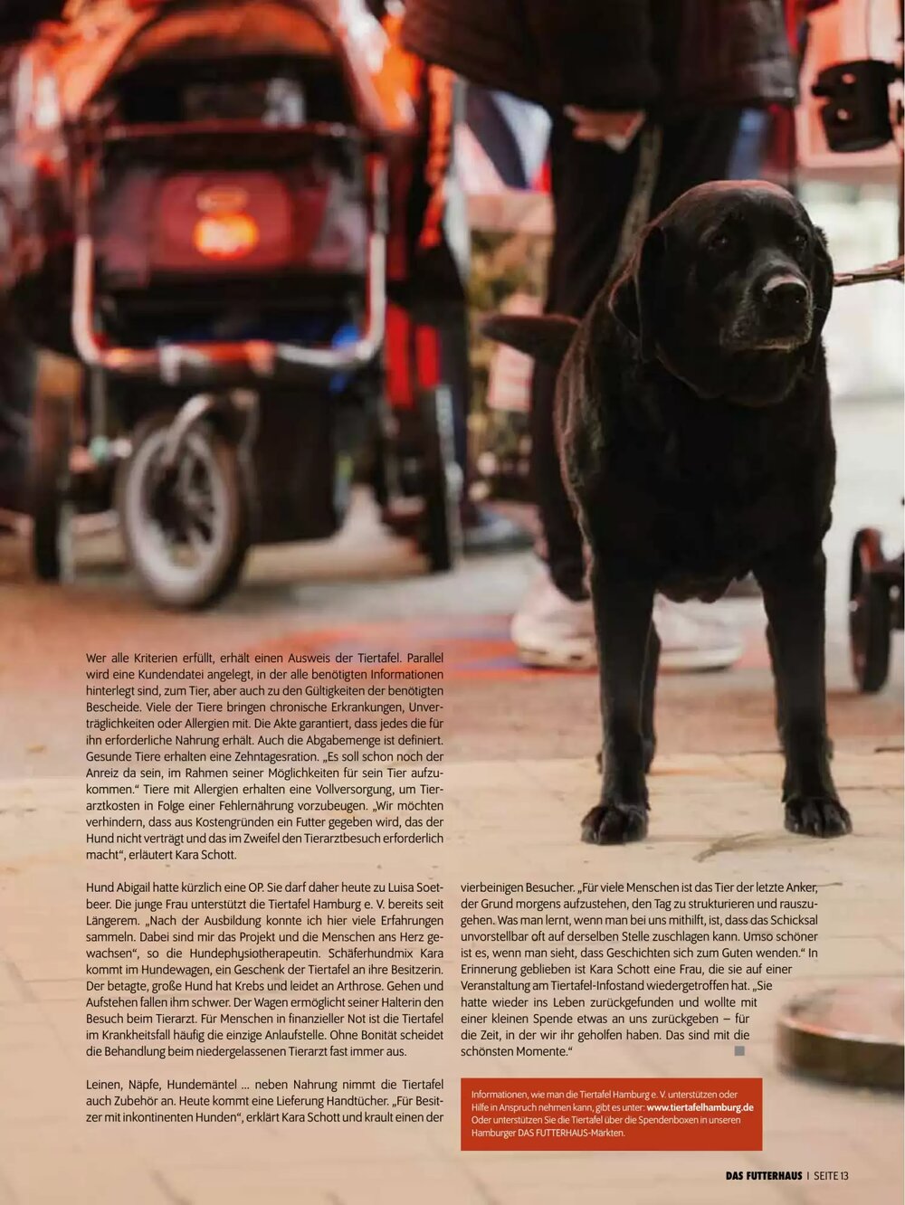 Das Futterhaus Flugblatt (ab 17.12.2025) - Angebote und Prospekt - Seite 13