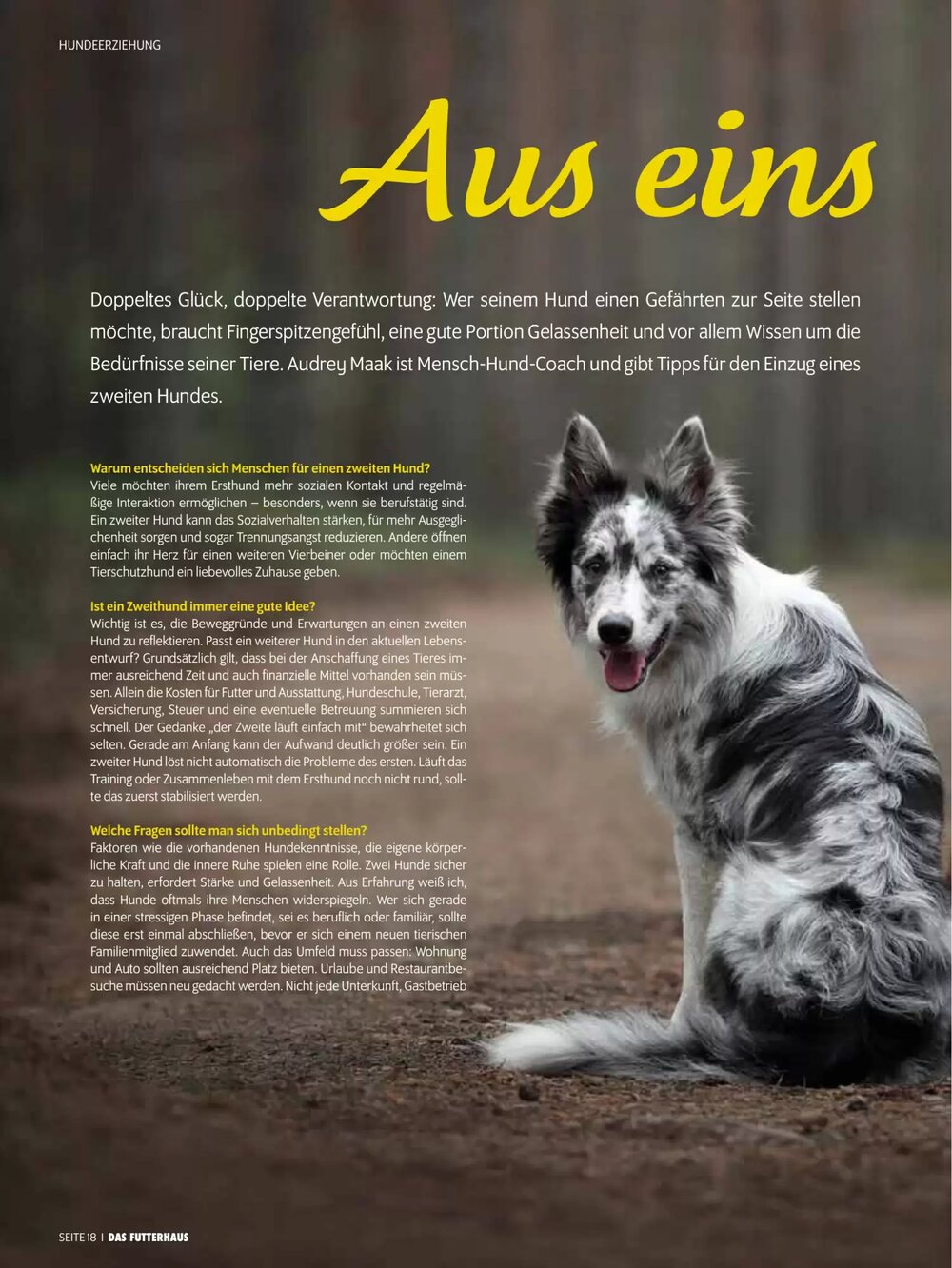 Das Futterhaus Flugblatt (ab 17.12.2025) - Angebote und Prospekt - Seite 18