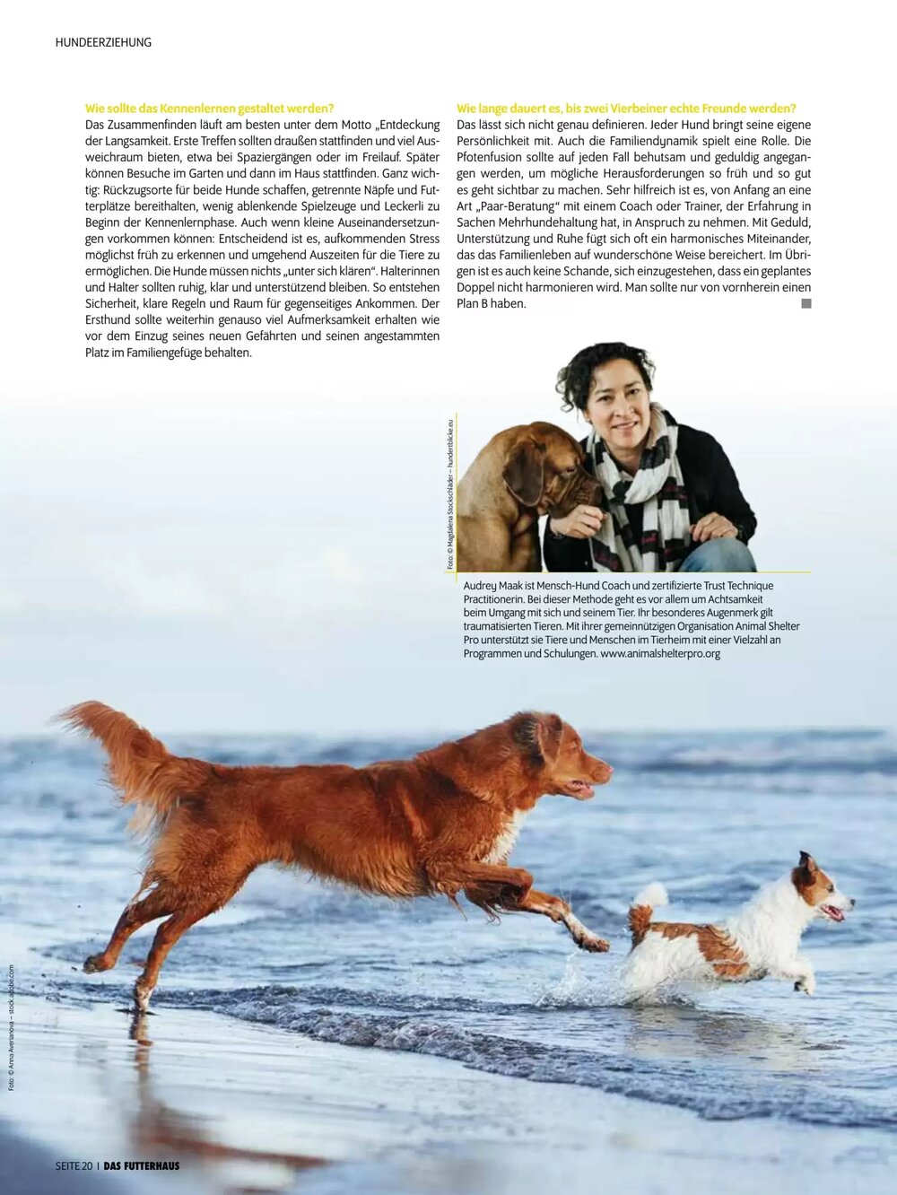 Das Futterhaus Flugblatt (ab 17.12.2025) - Angebote und Prospekt - Seite 20