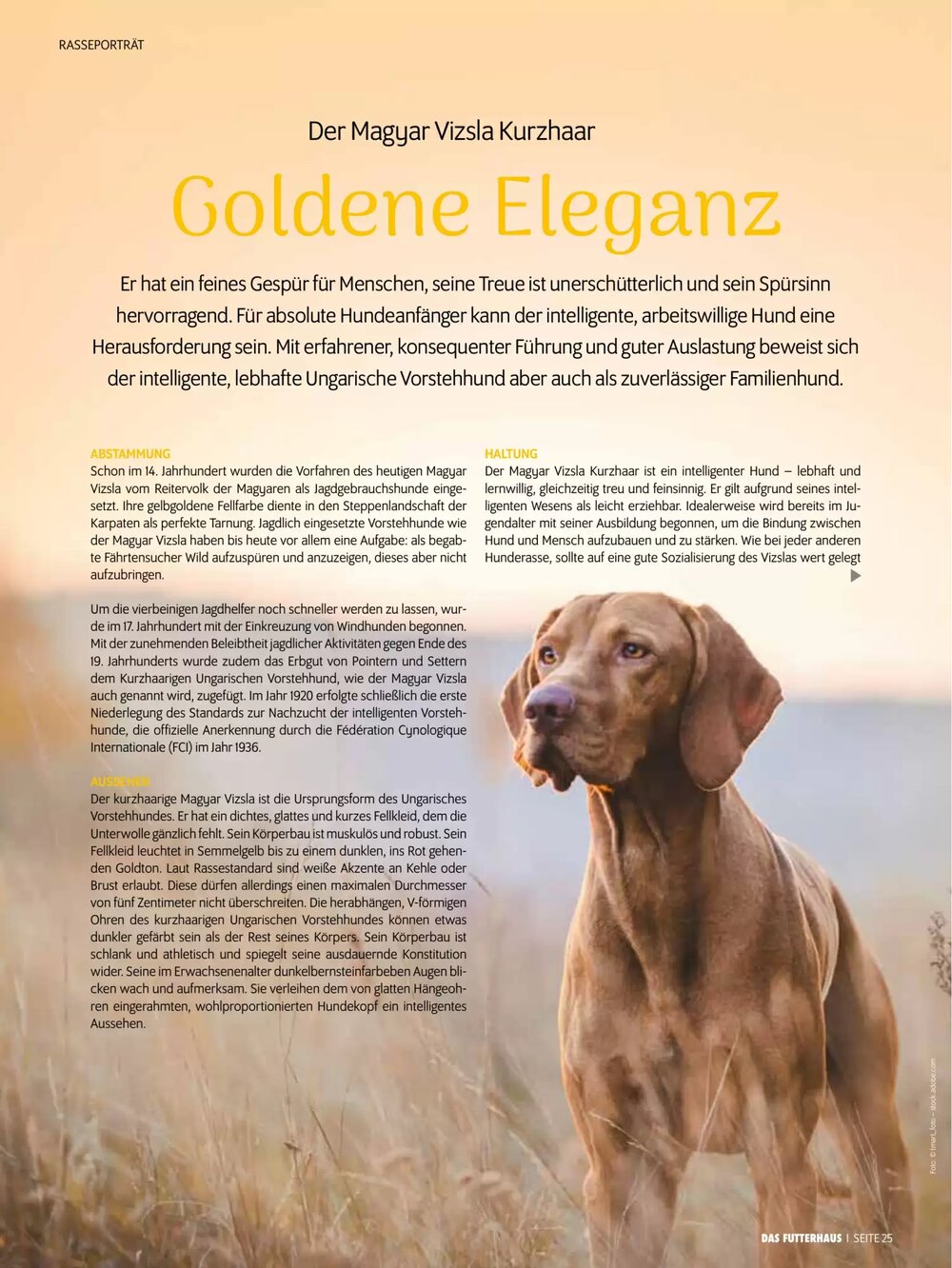 Das Futterhaus Flugblatt (ab 17.12.2025) - Angebote und Prospekt - Seite 25