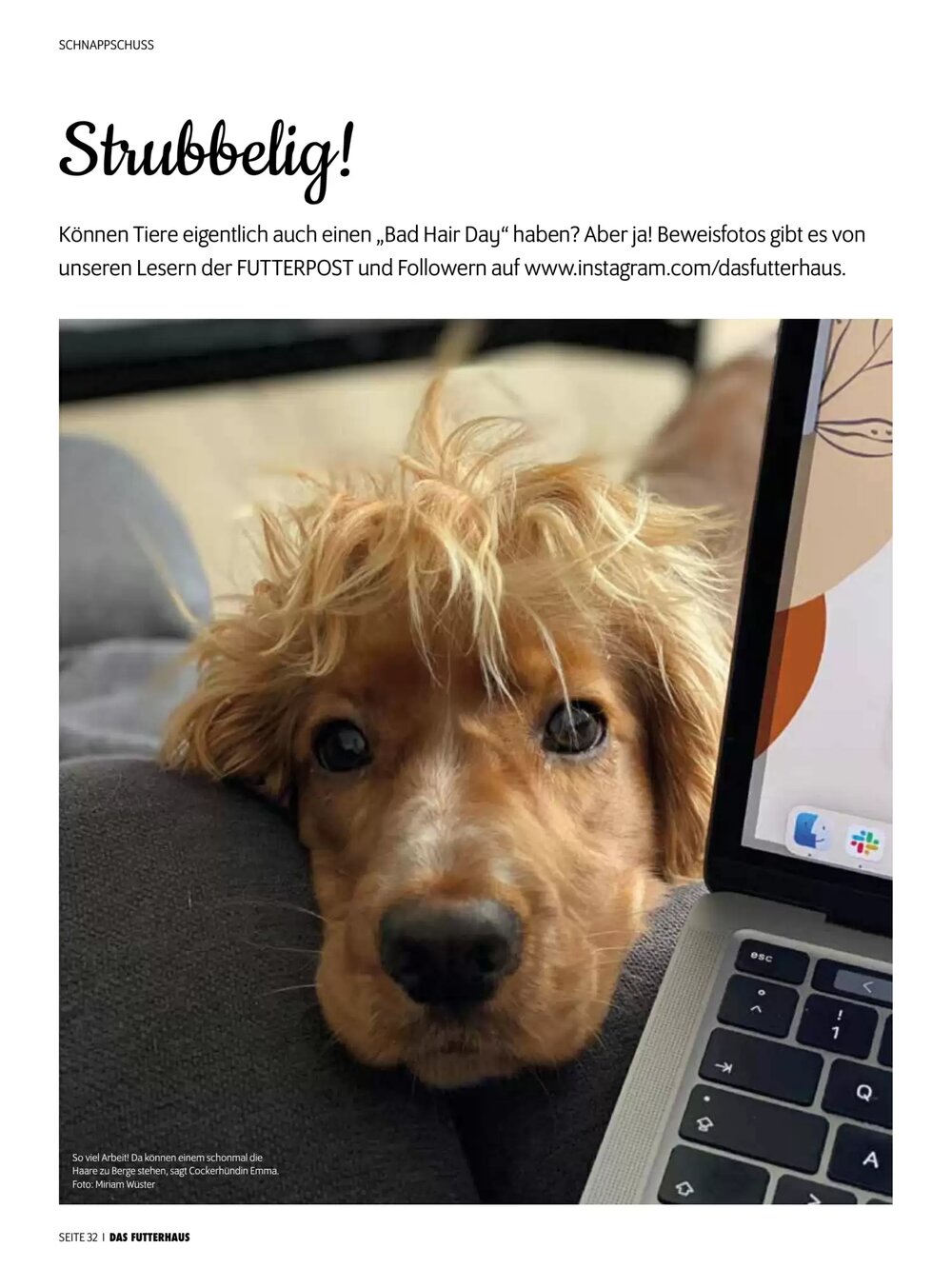 Das Futterhaus Flugblatt (ab 17.12.2025) - Angebote und Prospekt - Seite 32