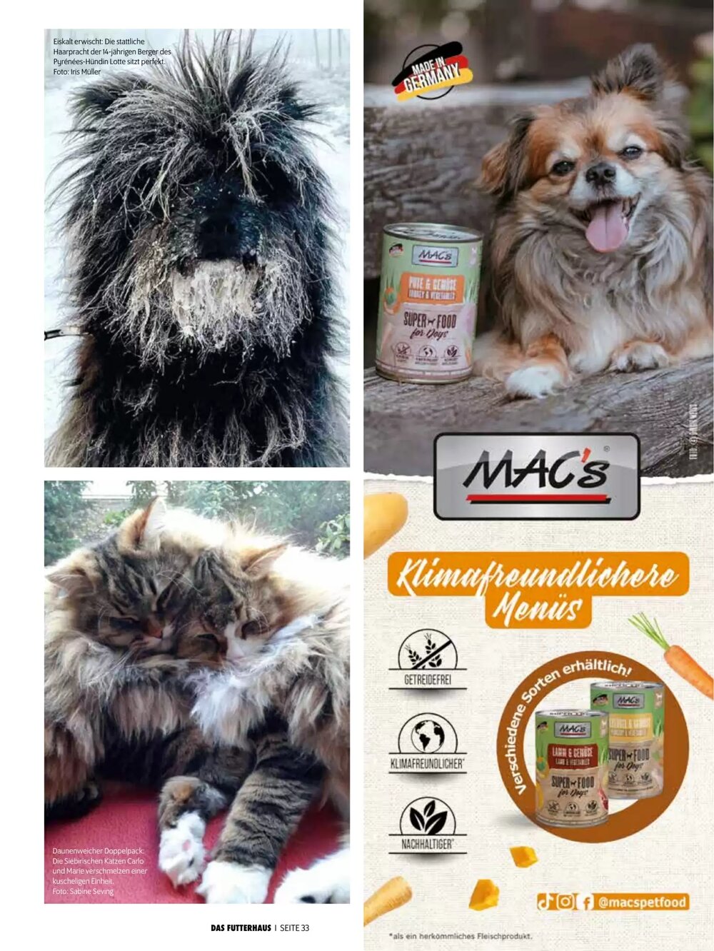 Das Futterhaus Flugblatt (ab 17.12.2025) - Angebote und Prospekt - Seite 33