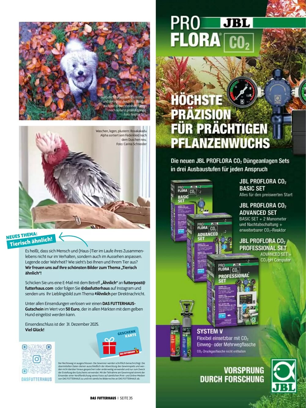 Das Futterhaus Flugblatt (ab 17.12.2025) - Angebote und Prospekt - Seite 35