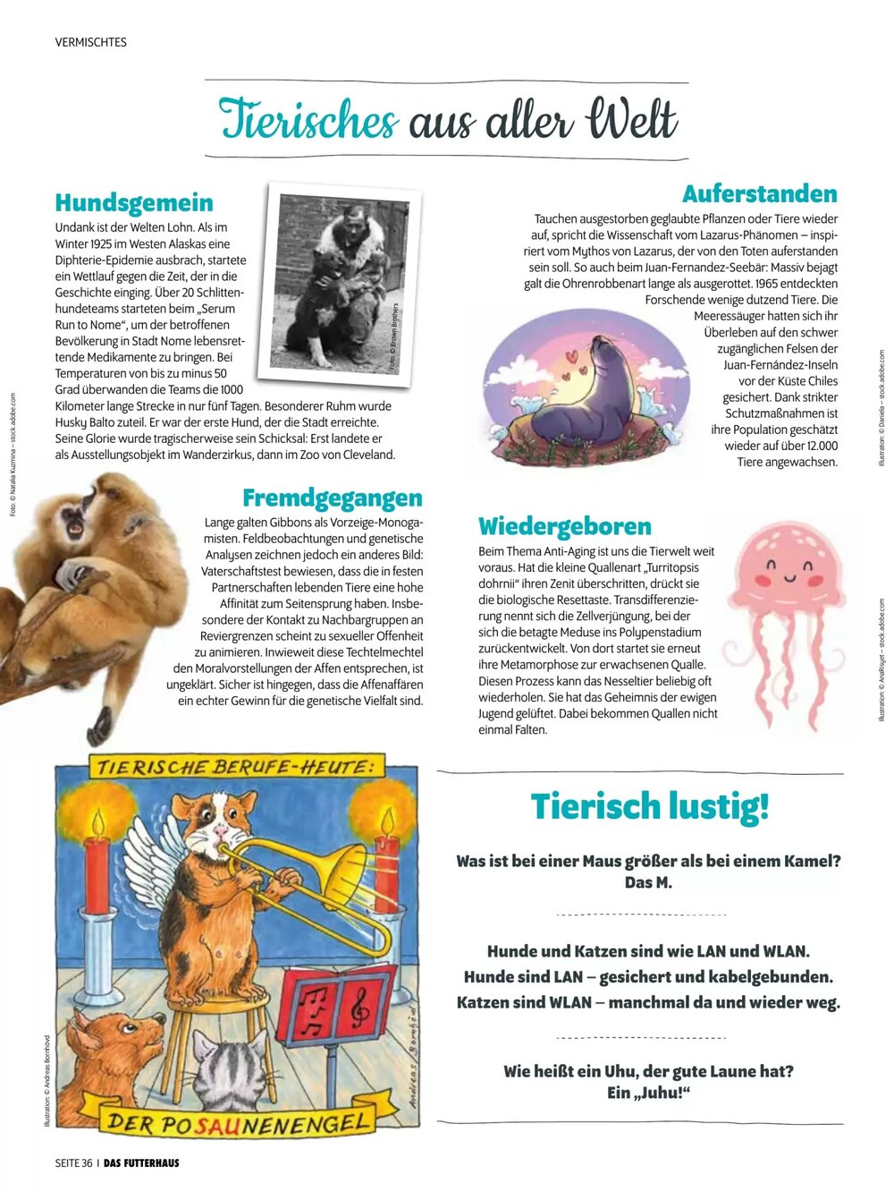 Das Futterhaus Flugblatt (ab 17.12.2025) - Angebote und Prospekt - Seite 36