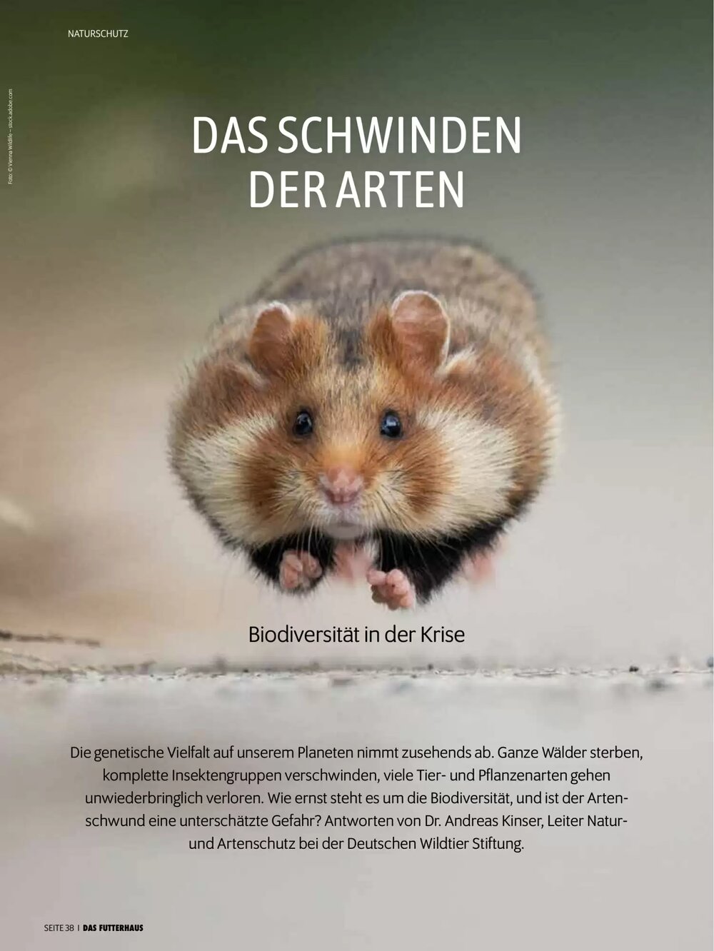 Das Futterhaus Flugblatt (ab 17.12.2025) - Angebote und Prospekt - Seite 38