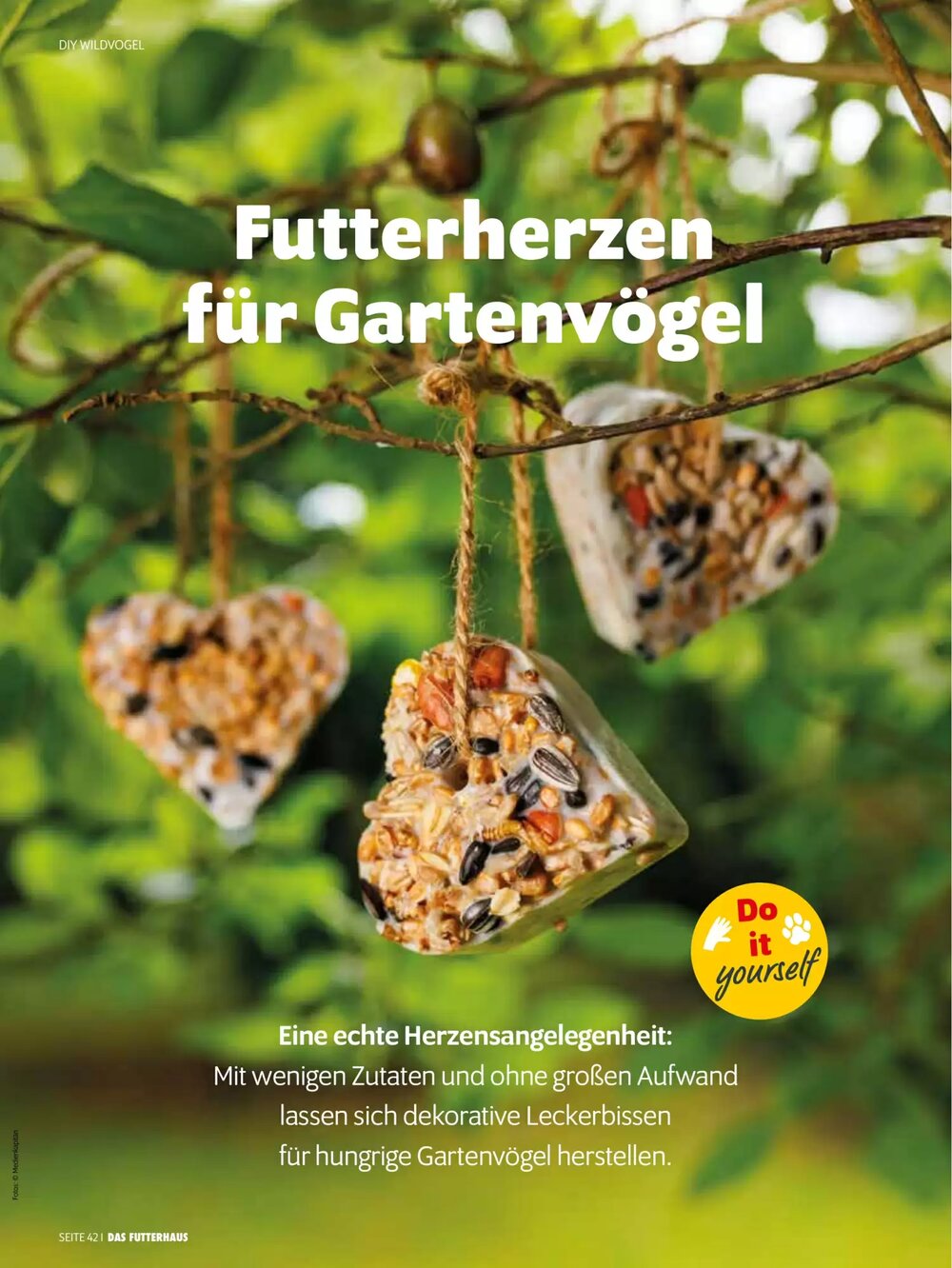 Das Futterhaus Flugblatt (ab 17.12.2025) - Angebote und Prospekt - Seite 42