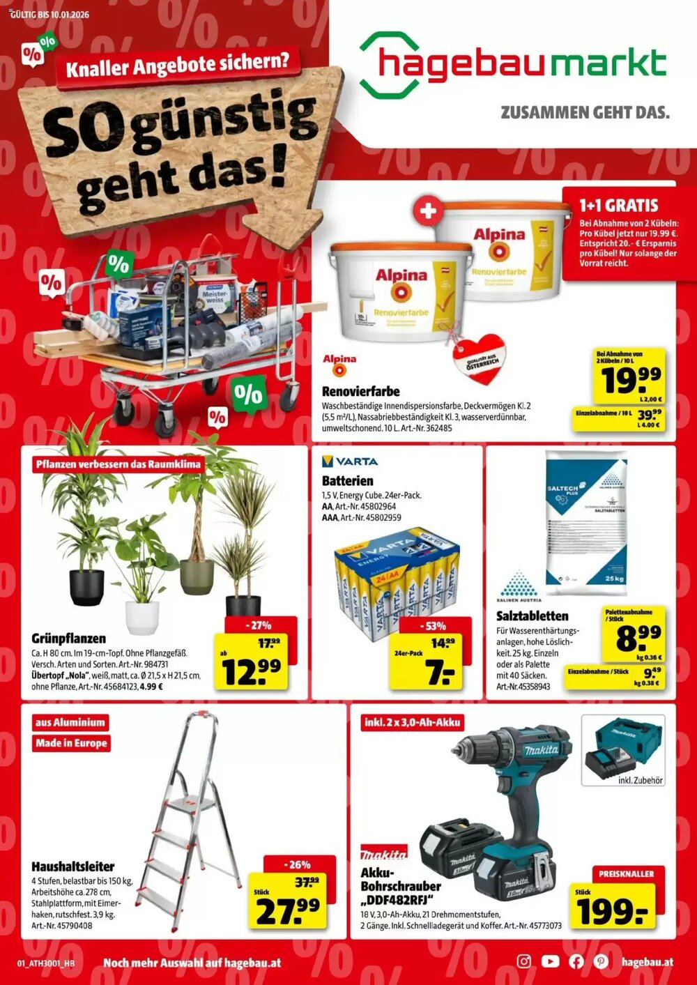 Hagebau Flugblatt (ab 29.12.2025) - Angebote und Prospekt - Seite 1