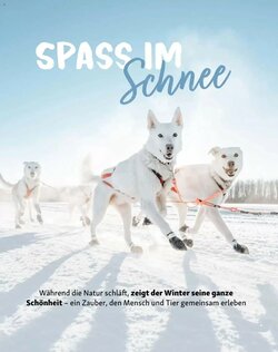 Fressnapf Flugblatt (ab 01.01.2026) - Angebote und Prospekt - Seite 10