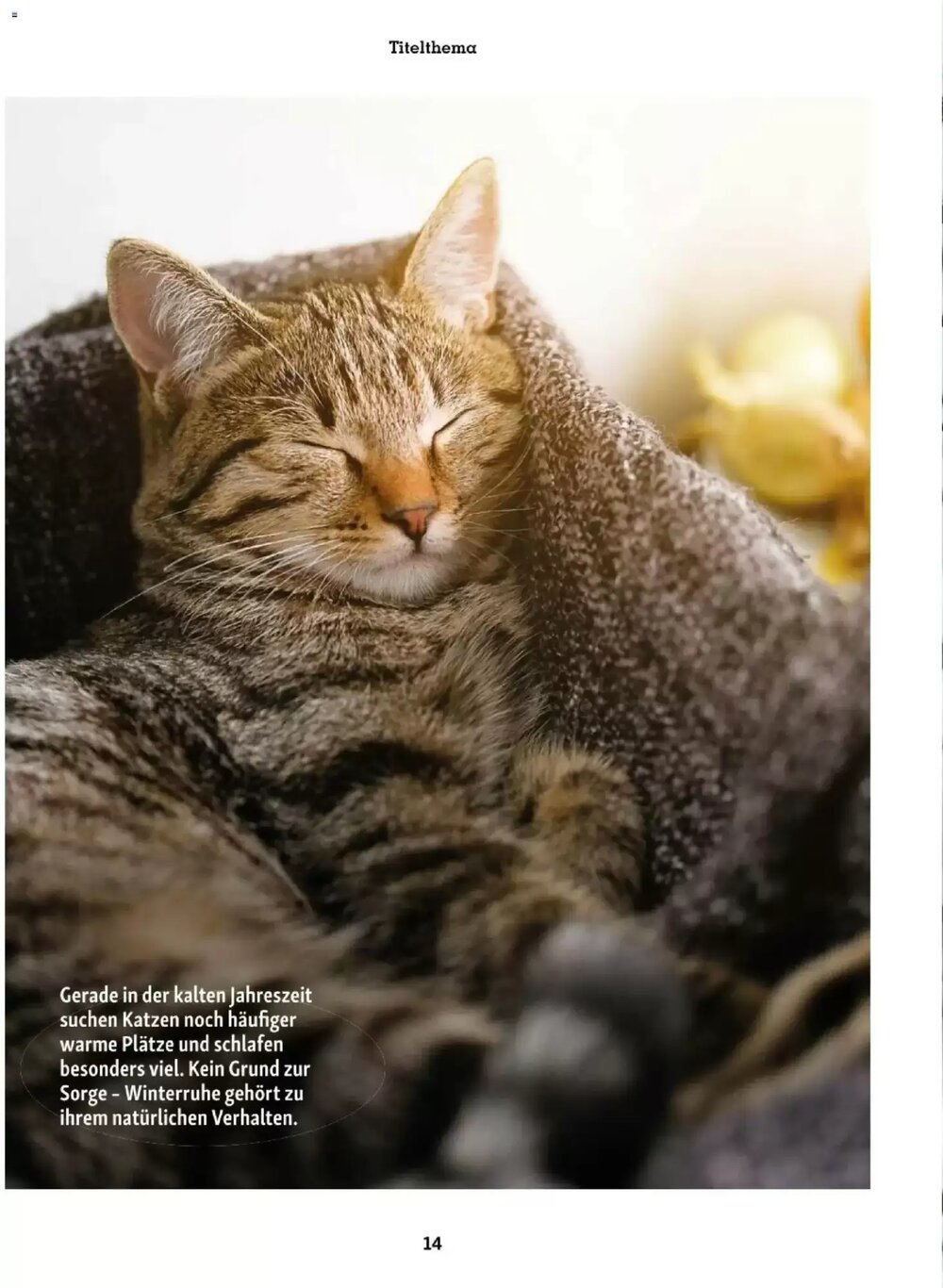 Fressnapf Flugblatt (ab 01.01.2026) - Angebote und Prospekt - Seite 14