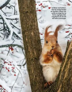 Fressnapf Flugblatt (ab 01.01.2026) - Angebote und Prospekt - Seite 15