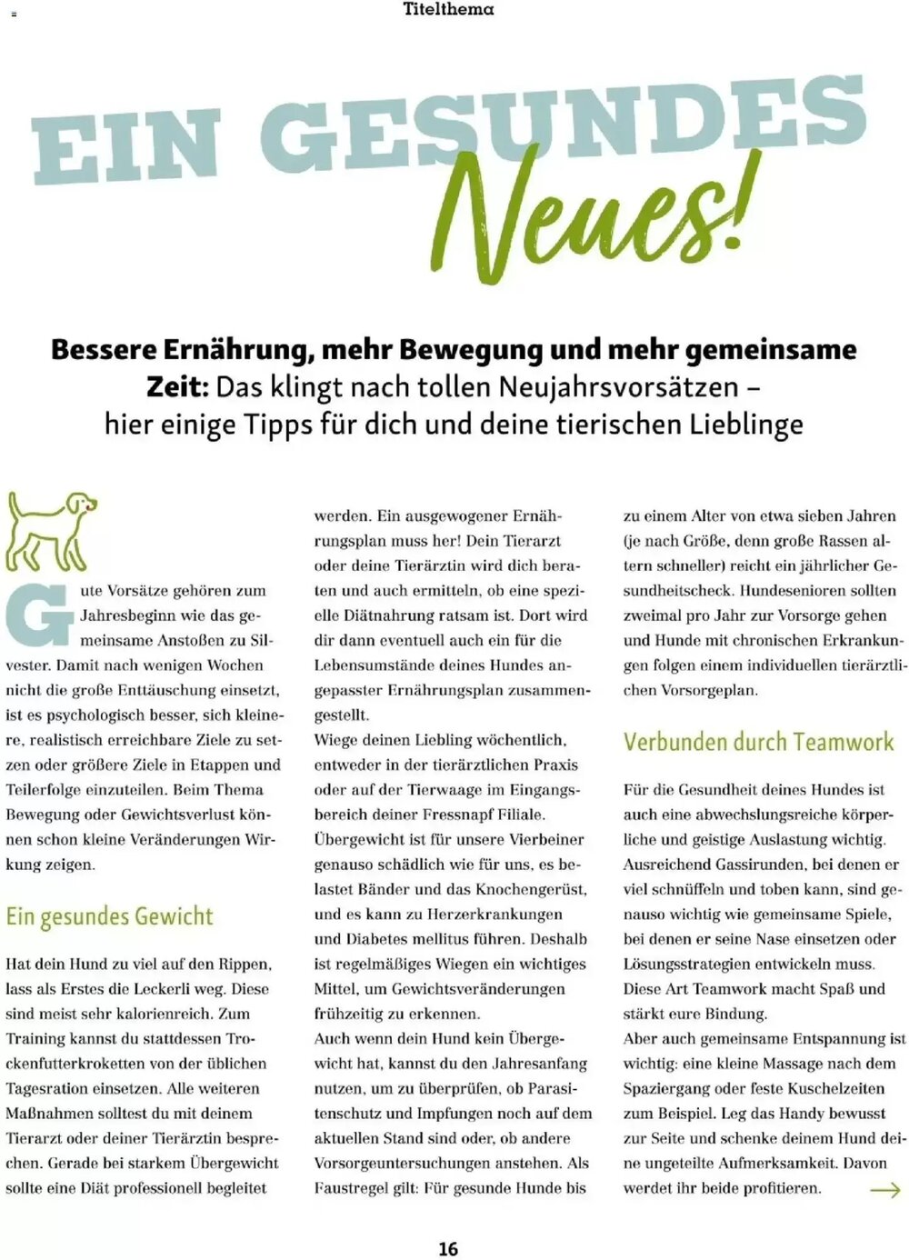 Fressnapf Flugblatt (ab 01.01.2026) - Angebote und Prospekt - Seite 16