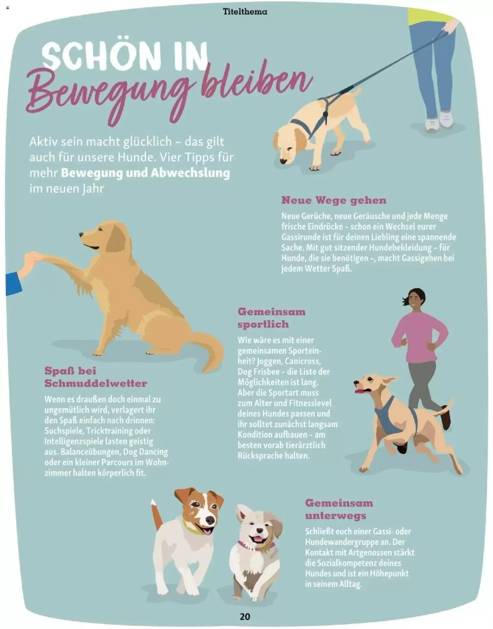 Fressnapf Flugblatt (ab 01.01.2026) - Angebote und Prospekt - Seite 20