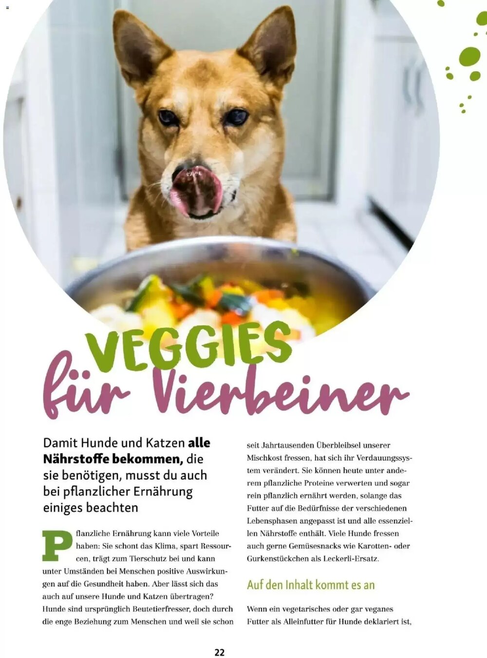 Fressnapf Flugblatt (ab 01.01.2026) - Angebote und Prospekt - Seite 22