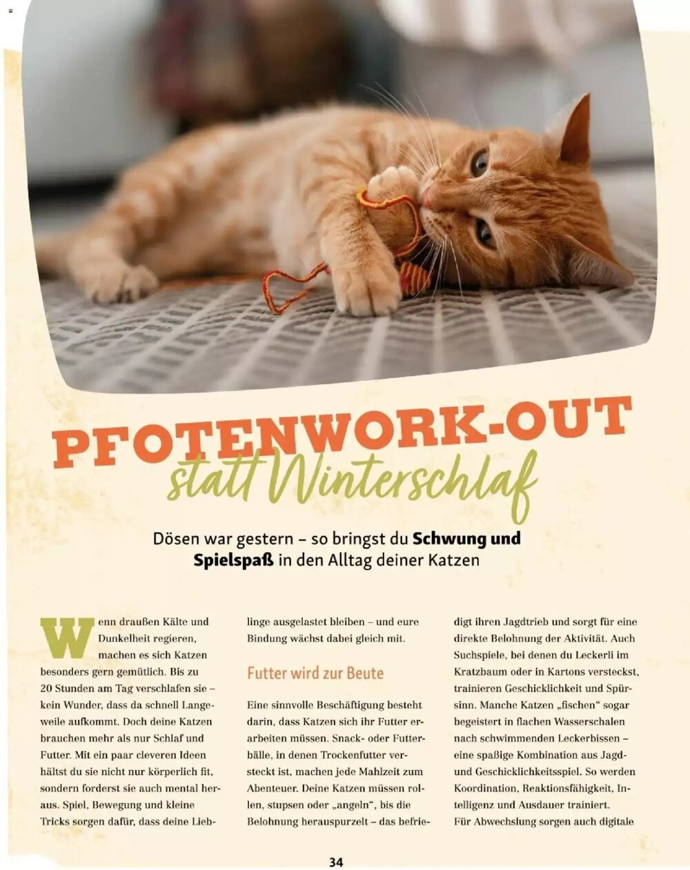 Fressnapf Flugblatt (ab 01.01.2026) - Angebote und Prospekt - Seite 34