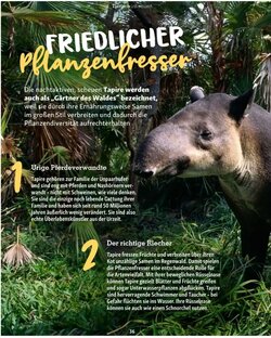 Fressnapf Flugblatt (ab 01.01.2026) - Angebote und Prospekt - Seite 36