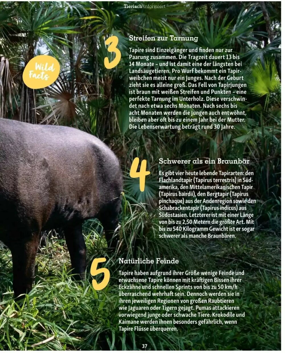 Fressnapf Flugblatt (ab 01.01.2026) - Angebote und Prospekt - Seite 37