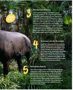 Fressnapf Flugblatt (ab 01.01.2026) - Angebote und Prospekt - Seite 37