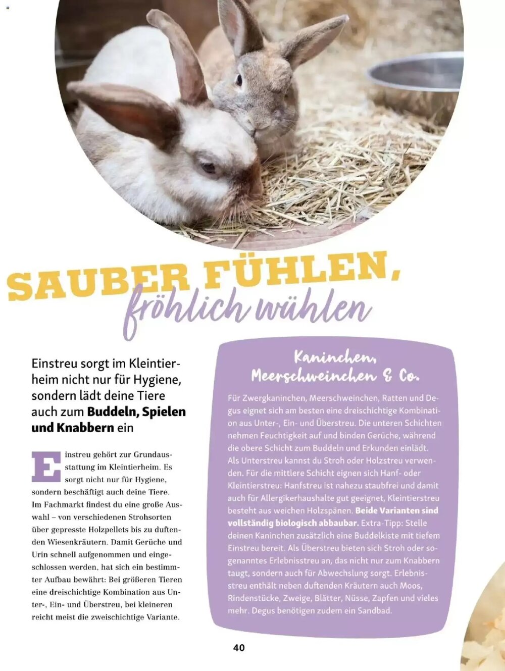 Fressnapf Flugblatt (ab 01.01.2026) - Angebote und Prospekt - Seite 40