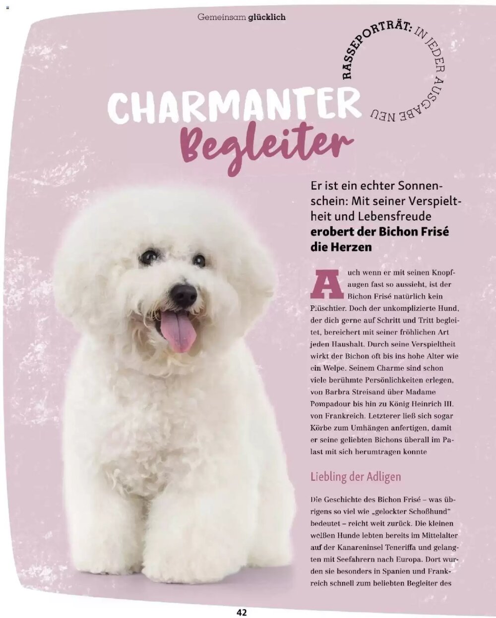 Fressnapf Flugblatt (ab 01.01.2026) - Angebote und Prospekt - Seite 42