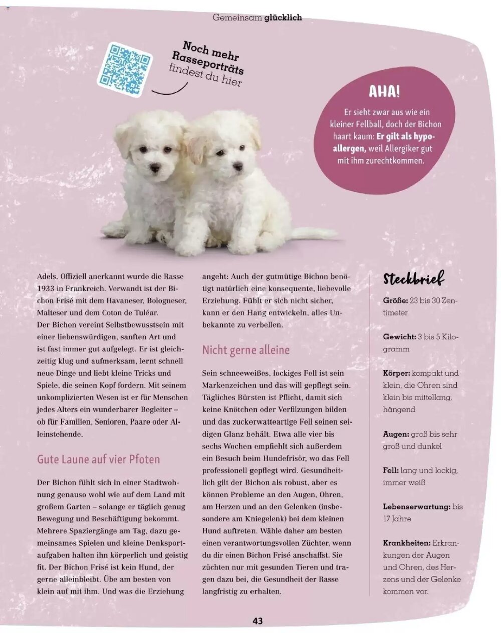 Fressnapf Flugblatt (ab 01.01.2026) - Angebote und Prospekt - Seite 43