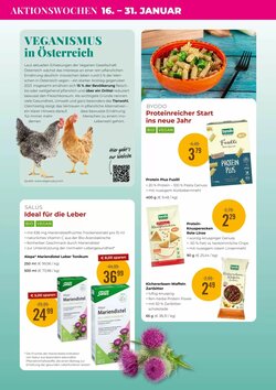 Martin Reformstark Flugblatt (ab 01.01.2026) - Angebote und Prospekt - Seite 10