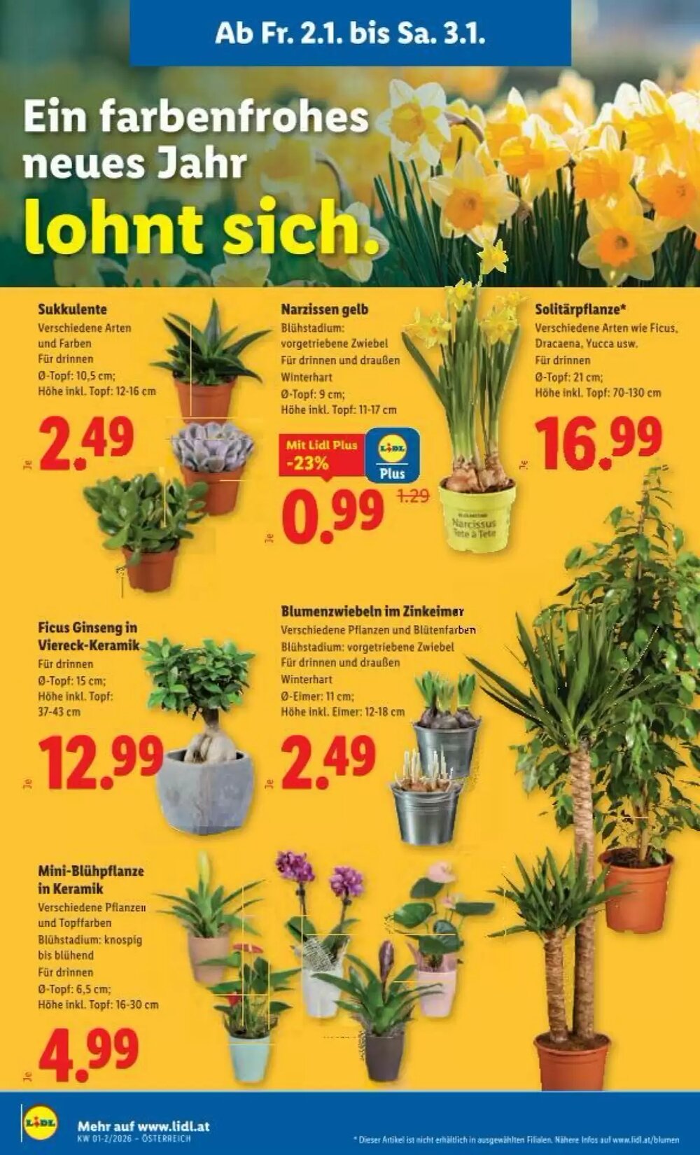Lidl Flugblatt (ab 02.01.2026) - Angebote und Prospekt - Seite 25