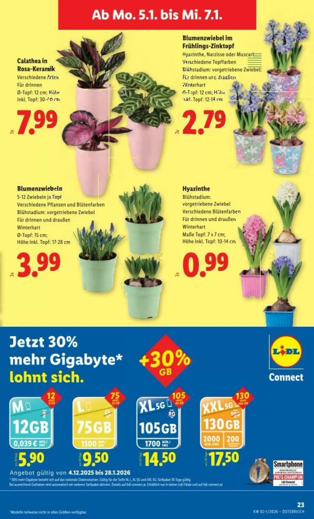 Lidl Flugblatt (ab 02.01.2026) - Angebote und Prospekt - Seite 26