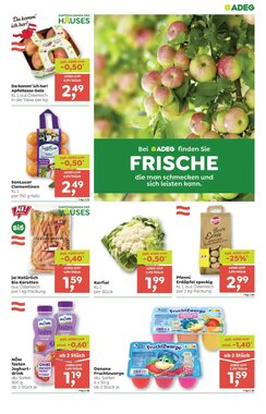 ADEG Flugblatt (ab 02.01.2026) - Angebote und Prospekt - Seite 3