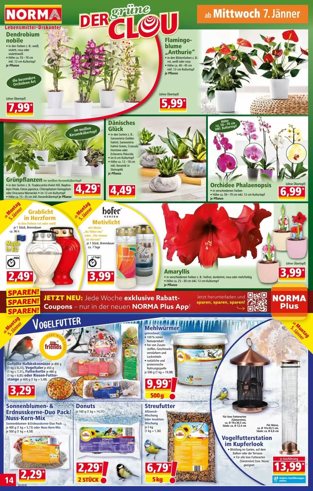 Norma Flugblatt (ab 05.01.2026) - Angebote und Prospekt - Seite 14