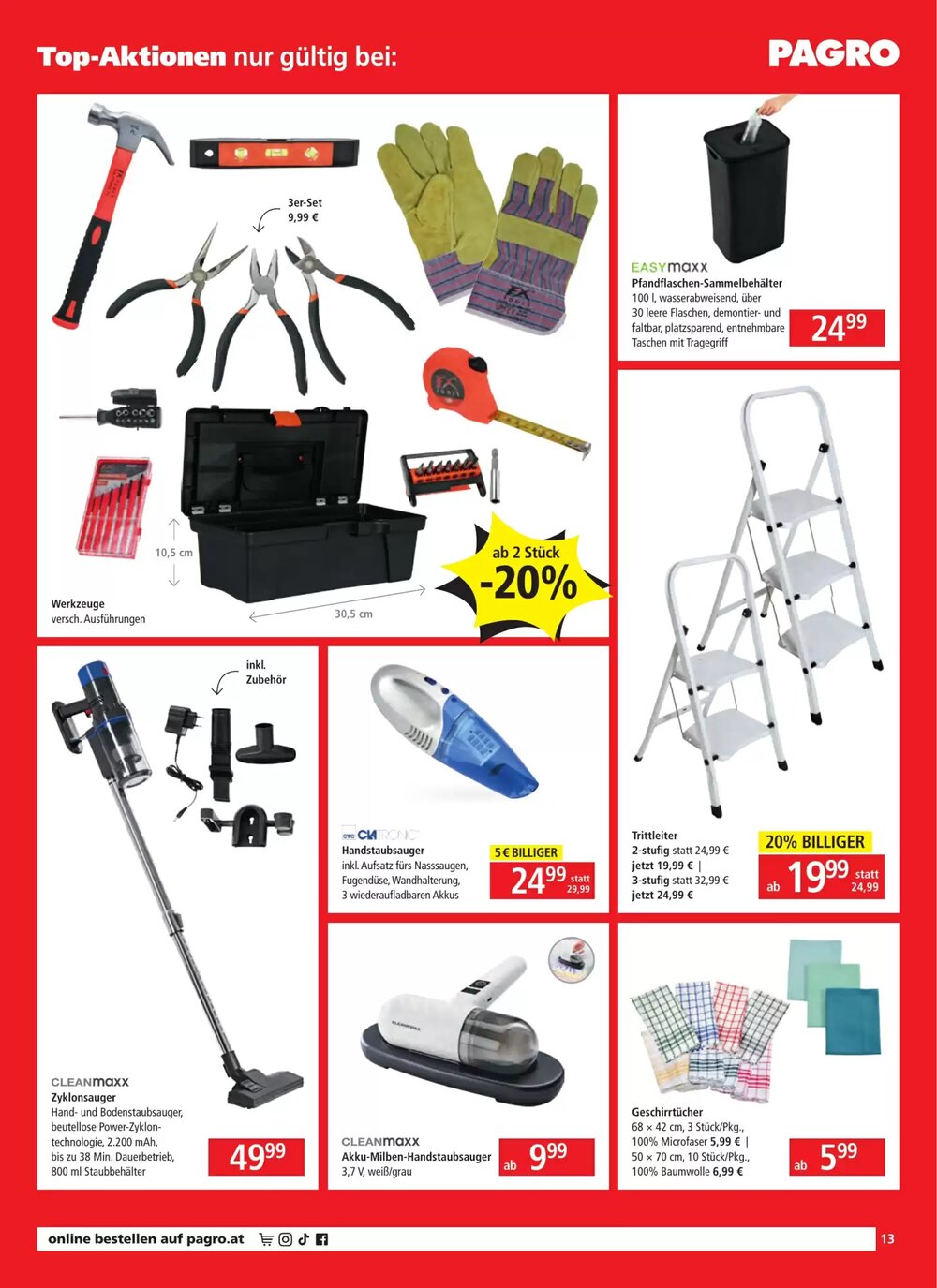 Pagro Diskont Flugblatt (ab 08.01.2026) - Angebote und Prospekt - Seite 13