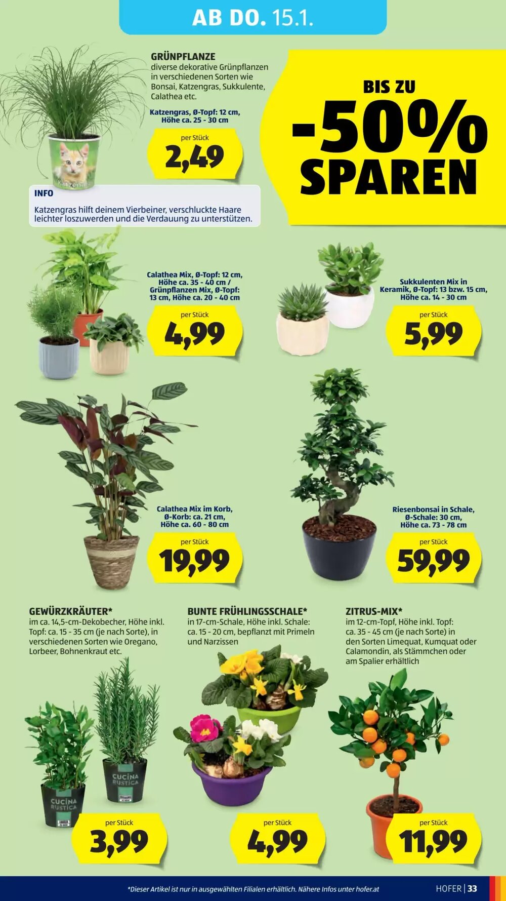 Hofer Flugblatt (ab 09.01.2026) - Angebote und Prospekt - Seite 37