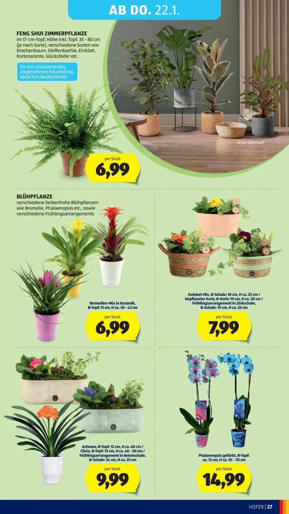 Hofer Flugblatt (ab 14.01.2026) - Angebote und Prospekt - Seite 31