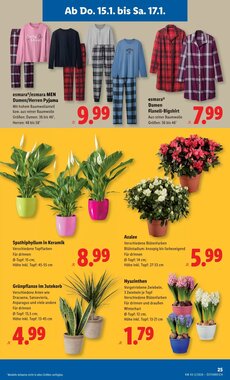 Lidl Flugblatt (ab 15.01.2026) - Angebote und Prospekt - Seite 29