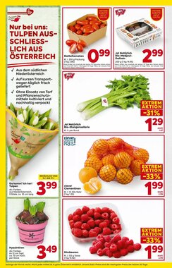 Billa Flugblatt (ab 15.01.2026) - Angebote und Prospekt - Seite 8