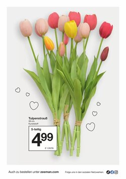 Zeeman Flugblatt (ab 17.01.2026) - Angebote und Prospekt - Seite 24