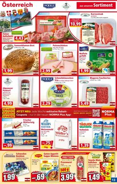 Norma Flugblatt (ab 19.01.2026) - Angebote und Prospekt - Seite 13