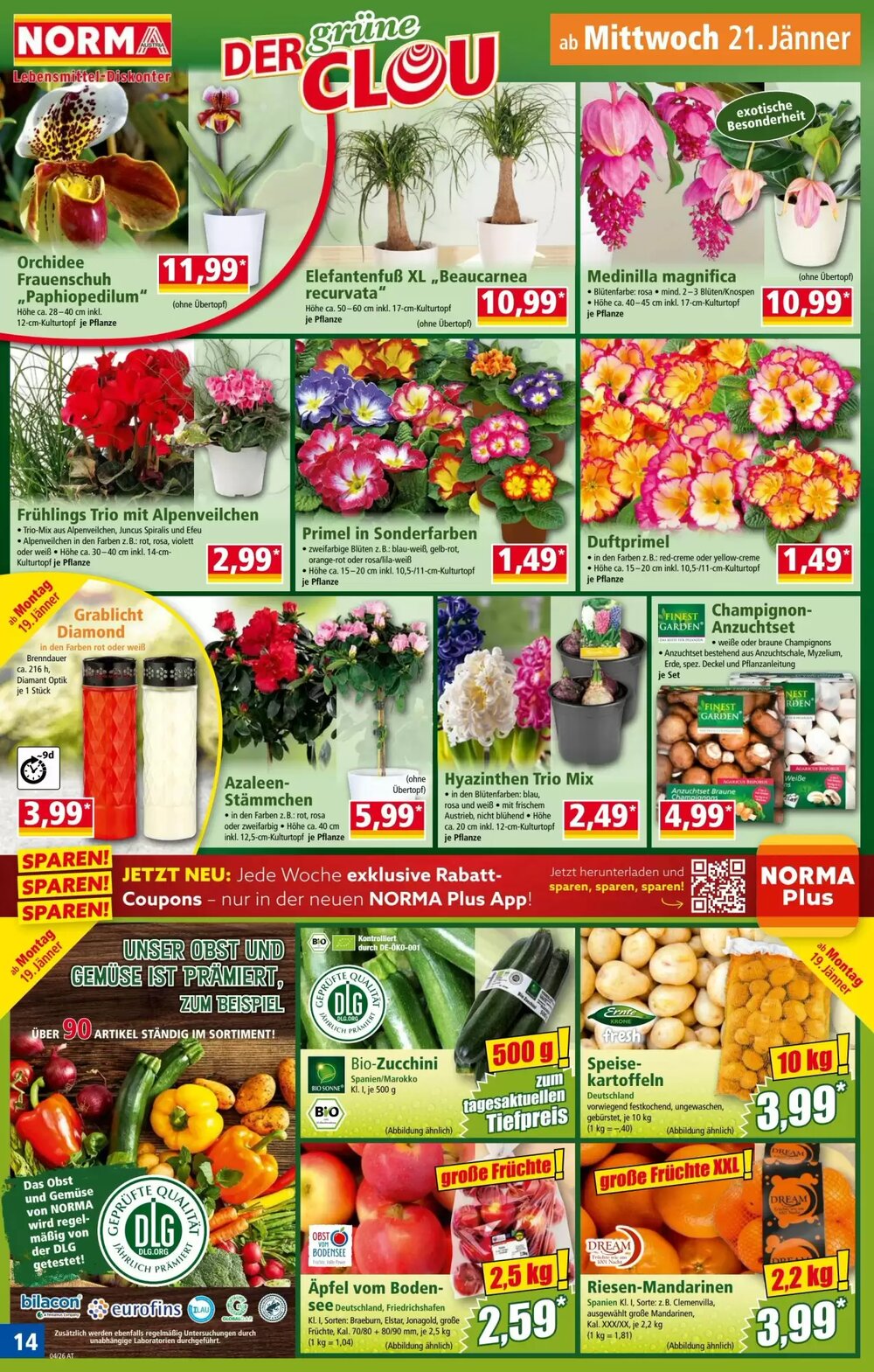 Norma Flugblatt (ab 19.01.2026) - Angebote und Prospekt - Seite 14